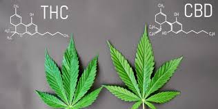Stocks percent change top 100 stocks stocks highs/lows stocks volume leaders unusual options activity options volume leaders remove ads. Is Cbd Oil Halal Or Haram We Answer Your Question Here Candid
