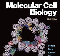 Molecular Cell Biology (842581): Lodish, Harvey, Berk ...