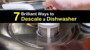 Check spelling or type a new query. 7 Brilliant Ways To Descale A Dishwasher
