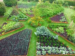 Pin De Laurie Oxford Em Vegetables Garden Ideias De Jardinagem Jardim Permacultura Horta Quintal