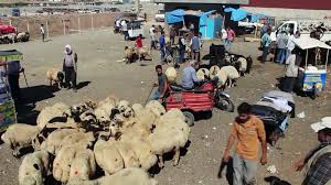 Kirikhan Da Kurban Satis Yerinde Hareketlilik Basladi Hatay Dailymotion Video