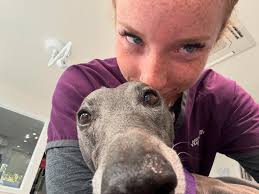 Selfies with Mac 🥹🥹 #dogselfie #whippet #mtmarthavet #becausewelovethem