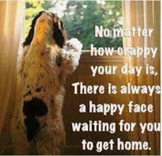 Come in to our clinic, and let us take care of. The Pet Doctor The Petdoctor Twitter