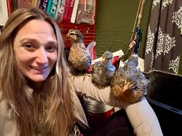 Okay I know it's old and stupid to ask... 5 months old. hen or roo? I have  not heard it crow and it doesn't have spurs (yet).. please help.. I will be