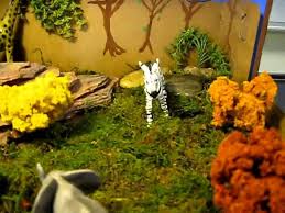Grassland Biome In A Box Grassland Diorama Ideas Google Search Grassland Biome Grassland Biomes