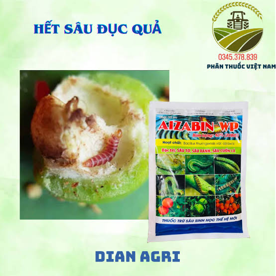 Aizabin WP
