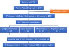 It may be present at undetectable levels and may come back in the future. Long Term Tracing And Staining Of Carbon Nanoparticles For Axillary Lymph Node In Patients With Local Advanced Breast Cancer Treated With Neoadjuvant Chemotherapy Sciencedirect