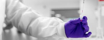 images?q=tbn:ANd9GcR-8iUnKrY1Dy_QRH_dfUdfeQgNWuS_U6PYKg&s