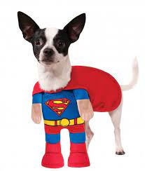 Superman Halloween Dog Costume With Arms Pet Costumes Pet Halloween Costumes Dog Costume
