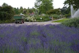 Botanischer Garten Dusseldorf