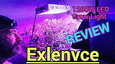 We did not find results for: Morsen Led Grow Light 1000 Watt Review Youtube