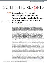 Pdf Co Regulatory Network Of Oncosuppressor Mirnas And