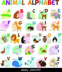 List with pictures & facts. Cute Cartoon Zoo Illustrated Alphabet With Funny Animals English Alphabet Learn To Read Isolated Vector Illustration Stock Vector Image Art Alamy