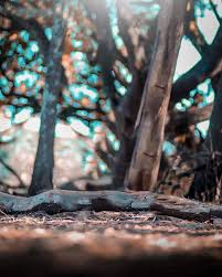 Image march 5, 2016march 5, 2016akbarpathurleave. 500 Top New Cb Background Zip File 2019 Blur Photo Background Background Wallpaper For Photoshop Light Background Images