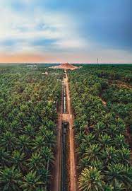 We did not find results for: Unesco World Heritage Centre Document Al Ahsa Oasis An Evolving Cultural Landscape Saudi Arabia