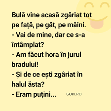 Pin By Alina Laura On Funny Mesaje Amuzante Glume Haioase De Ras