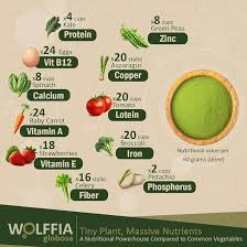 Image result for Wolffia
