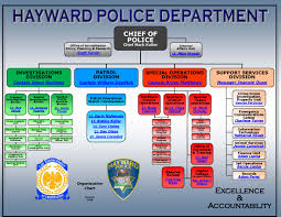 Organizational Chart City Of Hayward Official Website