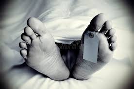 The woman was shot in the leg and was taken to the hospital. 28 449 Dead Body Photos Free Royalty Free Stock Photos From Dreamstime