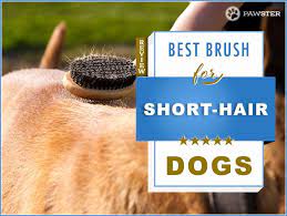 From an edgy to a refined look, you can create many styles using a round brush for short hair. 5 Best Dog Brushes For Short Hair Dogs Our 2020 Guide Short Hair Styles Short Haired Dogs Dog Brushing