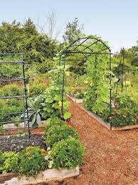 Check spelling or type a new query. Planning And Designing A Productive Vegetable Garden Cape Gazette