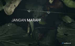 Atasi Marahmu Gapai Ridho Rabbmu Muslim Or Id