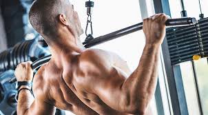A great way to make a. The Best Muscle Fitness Back Workout Routines Of All Time Muscle Fitness