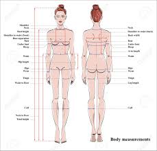 Bodies come in all different shapes and sizes. Woman Body Measurement Chart Scheme For Measurement Human Body Royalty Free Cliparts Vectors And Stock Illustration Image 97129691