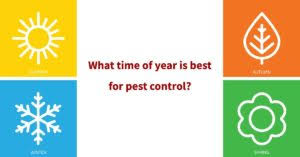 Turning on the vacuum should be easy. Facts About Year Round Pest Control Arrow Exterminating