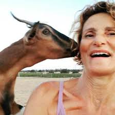 Need a hand with maintenance in the south-east of Sardinia beautiful coast,  40 minutes from Cagliari, near Villasimius, Italy