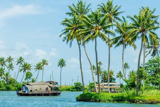 Alappuzha (Alleppey) Backwaters Image 3