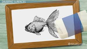 We did not find results for: What Is The Difference Between A Sketch And A Drawing Study Com