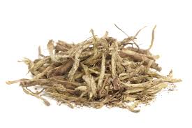 Image result for Withania somnifera