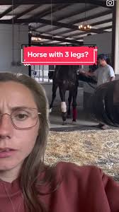 Amazing Horse with 3 Legs