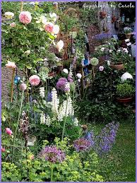 Why I Love My Garden Beautiful Gardens Dream Garden Backyard Garden Design