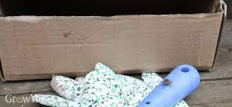 Jun 22, 2018 · garden upcycling with cardboard has many more benefits, however. Using Cardboard In The Vegetable Garden