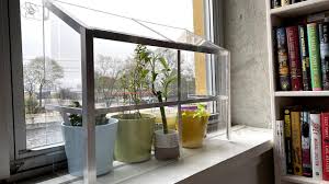 See more ideas about window greenhouse, indoor window, greenhouse. Cat Proof Window Sill Green House Youtube
