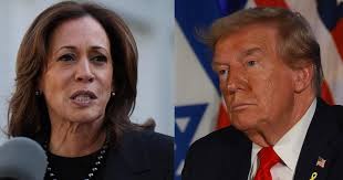 Nicollet County voters express dissatisfaction ahead of Election Day