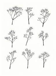 Sale Gypsophila Baby S Breath Flower Illustration A4 Print Of Original Drawing Babys Breath Flowers Baby Breath Tattoo Flower Drawing