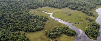 Come learn the history of the betsy ann, mississippi gulf coast, barrier islands, and more when you book a mississippi riverboat tour & cruise in biloxi today! Crystal River Preserve State Park Florida State Parks