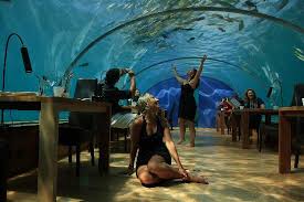 Underwater hotels give you the chance to observe sea life like never before. Underwater Rstaurant Picture Of Conrad Maldives Rangali Island Tripadvisor