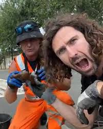 Pulled up this tiny, super-rusted revolver today and we could barely  believe it! 🤯 Even under all that thick corrosion you can still spot the  shape, the little grip, the short barrel,