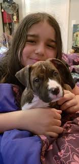 9df047 3 Dragons are back home ❤️ 😍