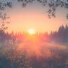 Die sommersonnenwende bei uns findet entweder am 20. 1