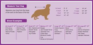 Dog Hoodie Sizing Chart Google Search Hound And House