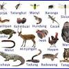 Maybe you would like to learn more about one of these? 1