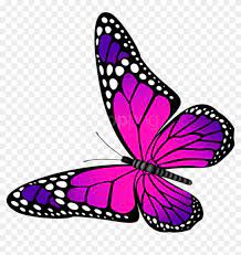 Looking for a good deal on butterfly pink? Free Png Download Butterfly Pink And Purple Transparent Butterfly Pink And Purple Png Download 850x822 1351561 Pngfind