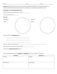 Some of the worksheets for this concept are , elements compounds and mixtures, cell ebrate science without work, scientific method work, balancing equations practice problems, biology if8765 stages of meiosis answer key, biology if8765 work 25 answer key. Cells Worksheet