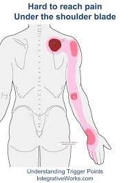 Roasting at a low temperature creates lamb meat that is succulent and literally falls off the bone. Pin On Acupuncture Benefits