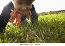 186 mil resultados de imágenes, fotos de stock e ilustraciones libres de  regalías para English grass